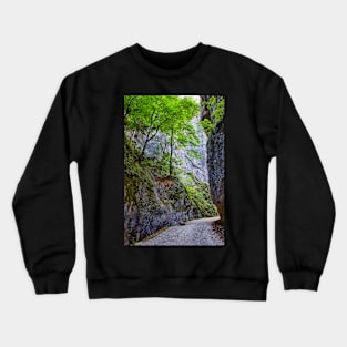 Beautiful gorge in Carpathian mountains Crewneck Sweatshirt